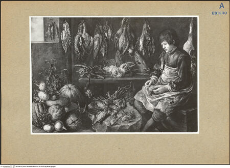 Vorderseite von bh145054_recto