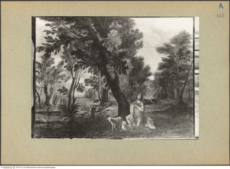 Vorderseite von bh145115_recto