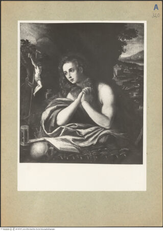 Vorderseite von bh145187_recto