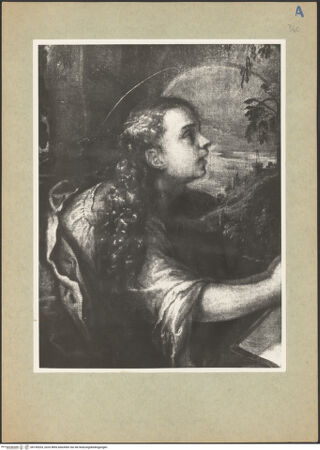 Vorderseite von bh145203_recto