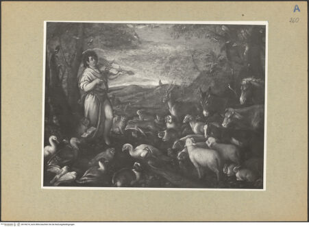 Vorderseite von bh145214_recto