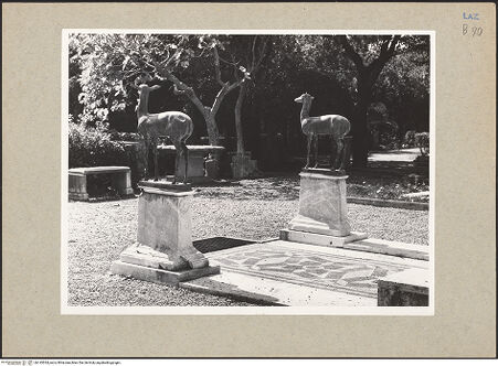 Vorderseite von bh145534_recto