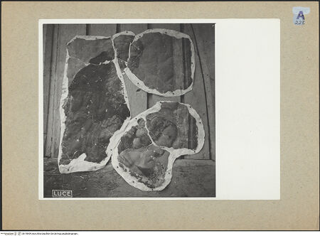 Vorderseite von bh145699_recto