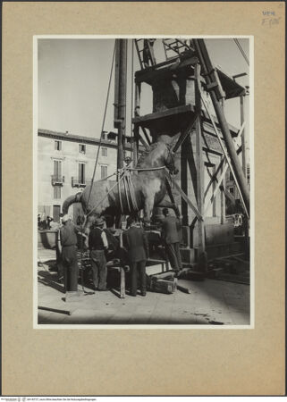 Vorderseite von unbekannt [https://www.deutsche-digitale-bibliothek.de/content/lizenzen/rv-fz/] Reiterdenkmal des Erasmus da Narni: il Gattamelata - Umzug des Denkmals vor dem Krieg, bh145727_recto. Foto.