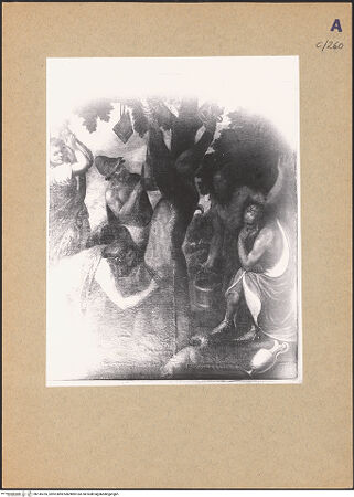 Vorderseite von bh145765_recto