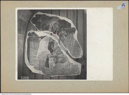 Vorderseite von bh145833_recto