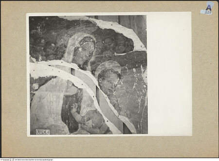 Vorderseite von bh145834_recto