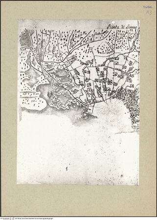 Vorderseite von bh145928_recto