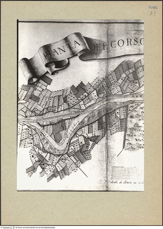 Vorderseite von bh145934_recto