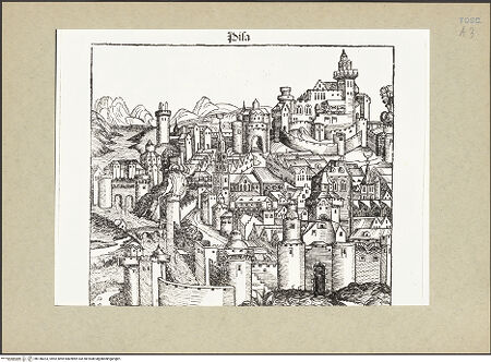 Vorderseite von bh146023_recto