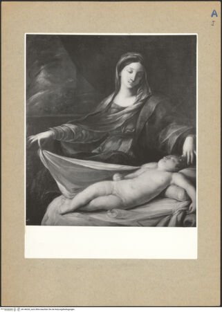 Vorderseite von bh146030_recto