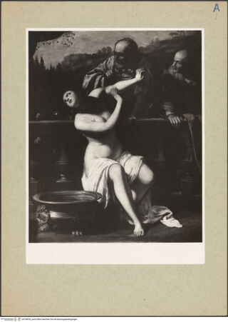 Vorderseite von bh146033_recto