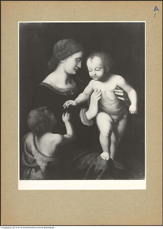 Vorderseite von bh146195_recto