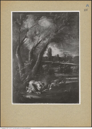 Vorderseite von bh146197_recto