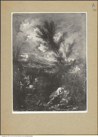 Vorderseite von bh146199_recto