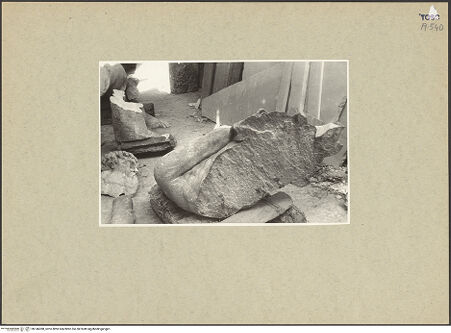 Vorderseite von bh146388_recto