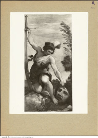 Vorderseite von bh146589_recto