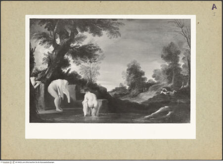 Vorderseite von bh146626_recto