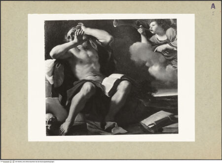 Vorderseite von bh146646_recto