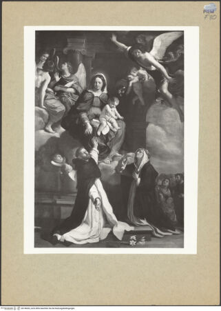 Vorderseite von bh146655_recto