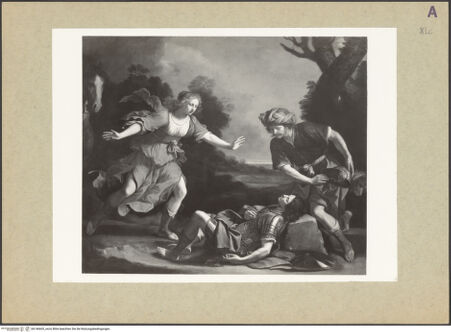 Vorderseite von bh146665_recto