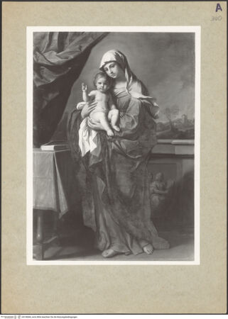 Vorderseite von bh146666_recto