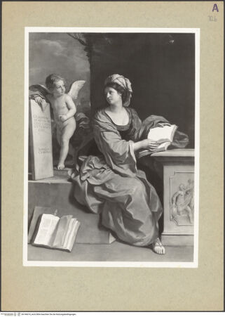 Vorderseite von bh146674_recto