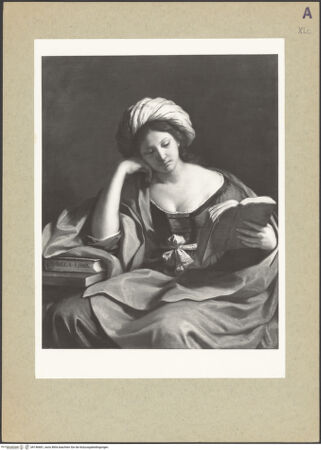 Vorderseite von bh146681_recto