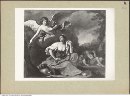 Vorderseite von bh146683_recto