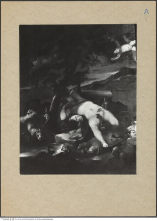 Vorderseite von bh146764_recto