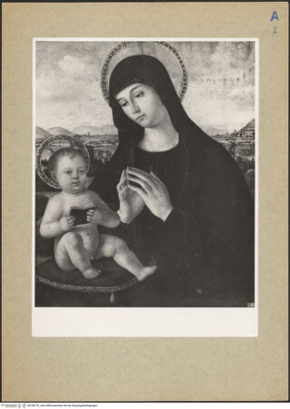 Vorderseite von bh146775_recto