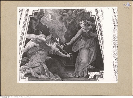 Vorderseite von bh146784_recto