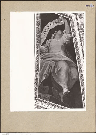 Vorderseite von bh146809_recto