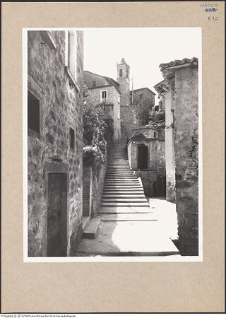 Vorderseite von bh146920_recto