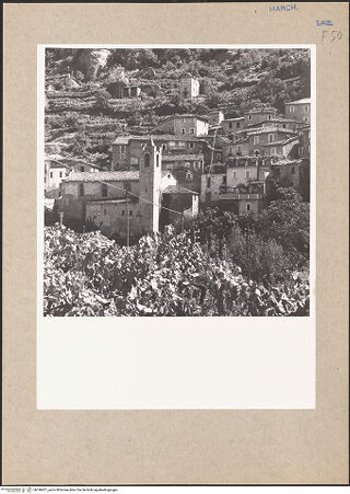 Vorderseite von bh146921_recto