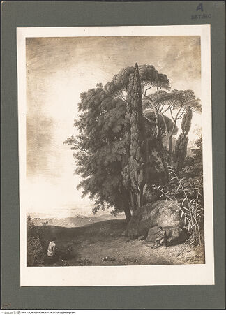 Vorderseite von bh147108_recto