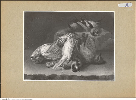 Vorderseite von bh147367_recto