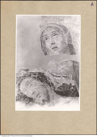 Vorderseite von bh147389_recto