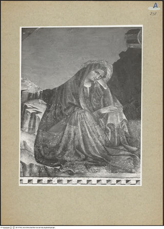 Vorderseite von bh147592_recto