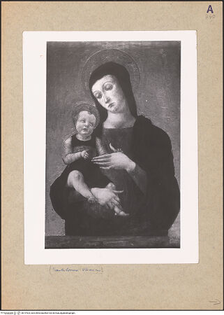 Vorderseite von bh147623_recto