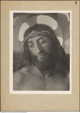 Vorderseite von bh147649_recto