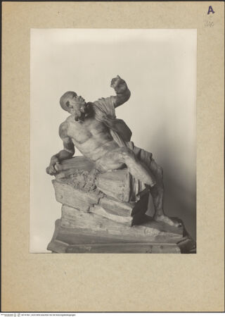 Vorderseite von bh147661_recto