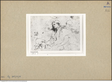 Vorderseite von bh147825_recto