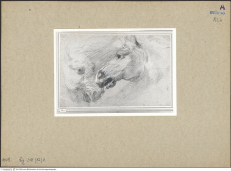 Vorderseite von bh147842_recto