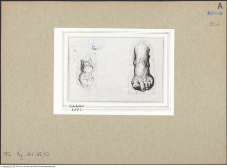 Vorderseite von bh147855_recto