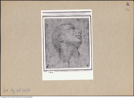 Vorderseite von bh147863_recto