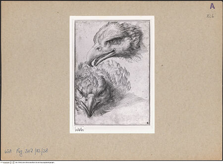 Vorderseite von bh147865_recto