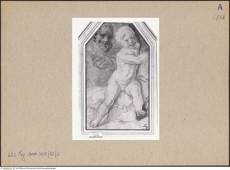 Vorderseite von bh147866_recto