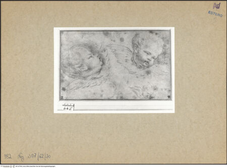 Vorderseite von bh147954_recto