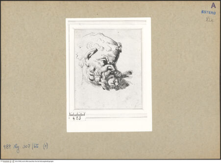 Vorderseite von bh147960_recto